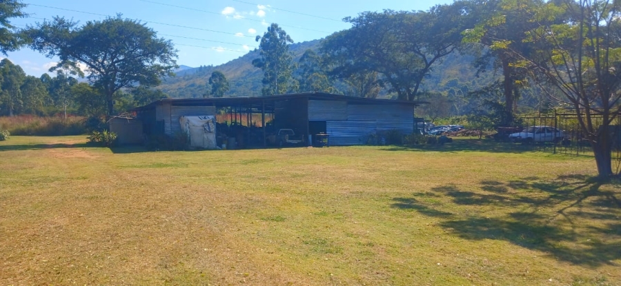 Commercial Property for Sale in Ngodwana Mpumalanga