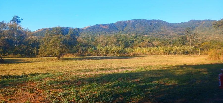 Commercial Property for Sale in Ngodwana Mpumalanga