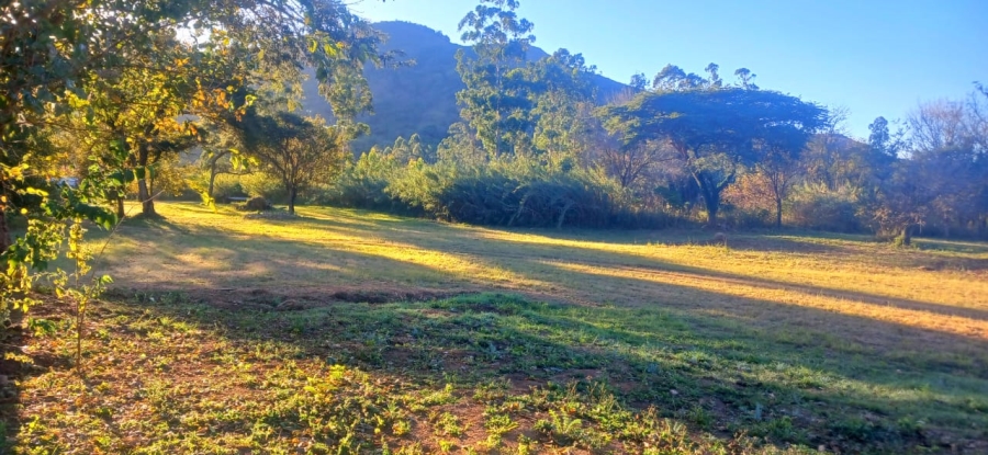 Commercial Property for Sale in Ngodwana Mpumalanga