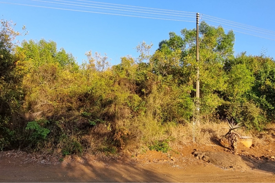0 Bedroom Property for Sale in Komatipoort Mpumalanga