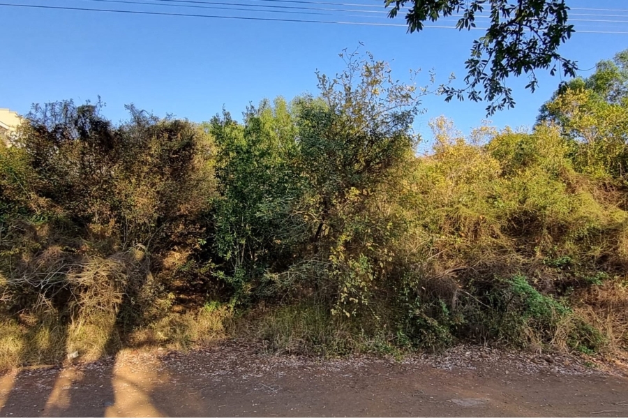 0 Bedroom Property for Sale in Komatipoort Mpumalanga