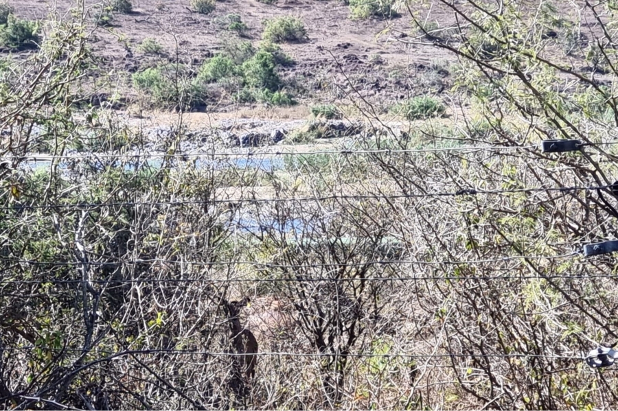 0 Bedroom Property for Sale in Komatipoort Mpumalanga