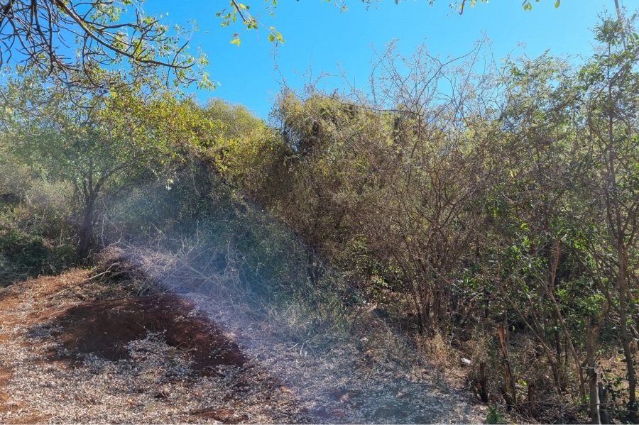 0 Bedroom Property for Sale in Komatipoort Mpumalanga