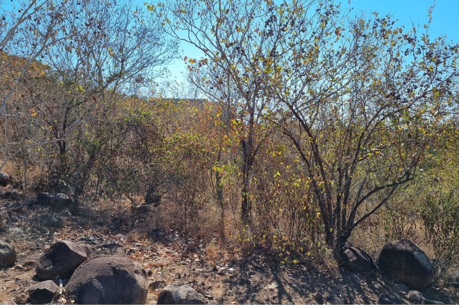0 Bedroom Property for Sale in Komatipoort Mpumalanga