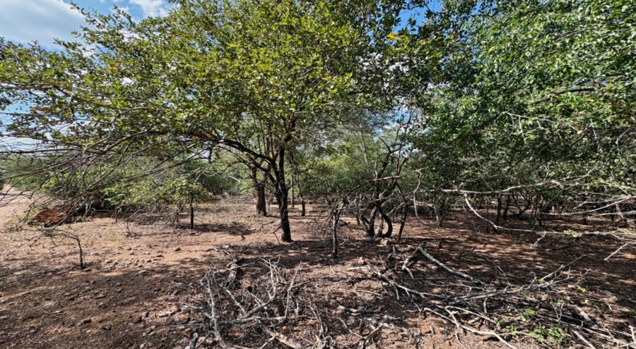 0 Bedroom Property for Sale in Marloth Park Mpumalanga