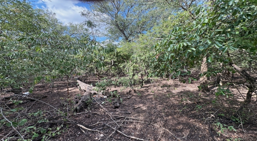 0 Bedroom Property for Sale in Marloth Park Mpumalanga