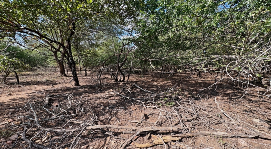 0 Bedroom Property for Sale in Marloth Park Mpumalanga