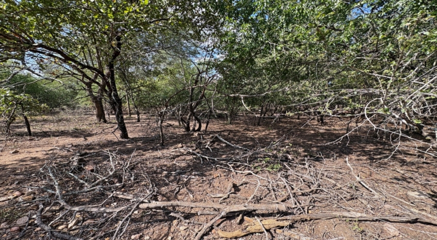 0 Bedroom Property for Sale in Marloth Park Mpumalanga