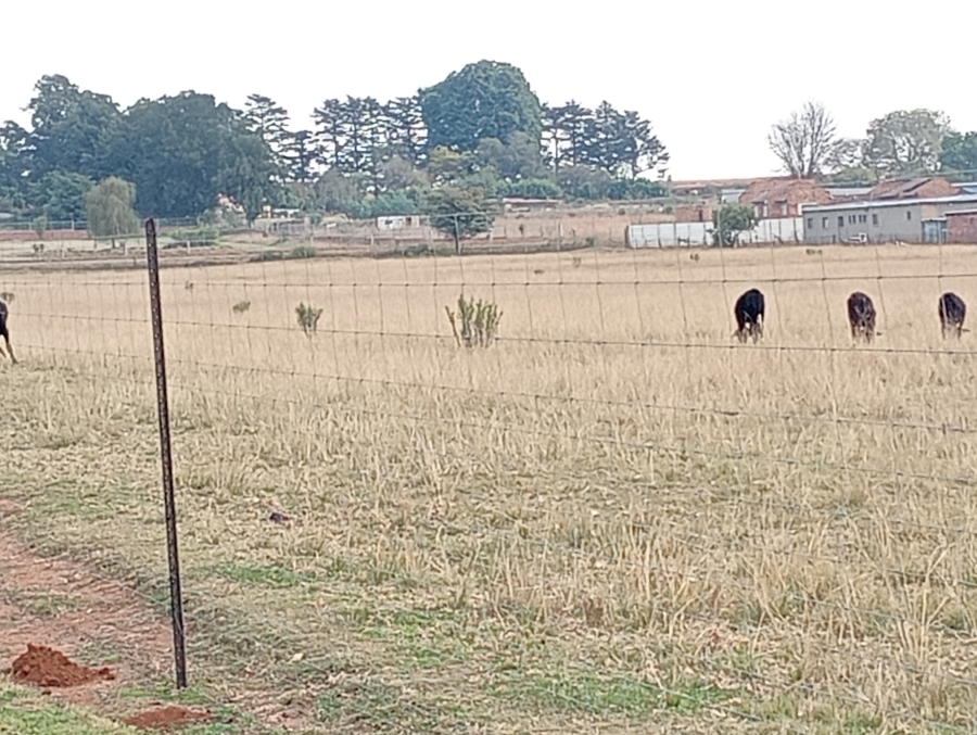 4 Bedroom Property for Sale in Rietkol AH Mpumalanga