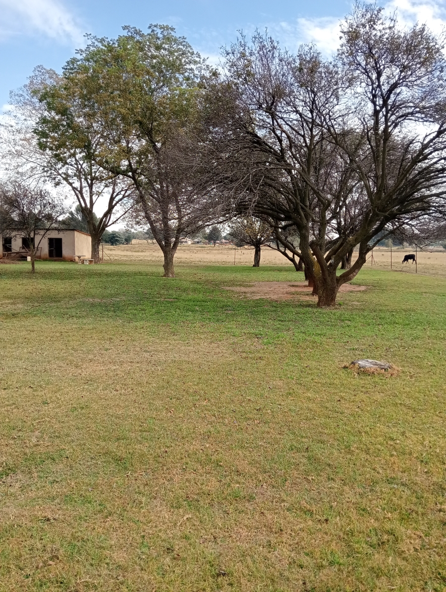 4 Bedroom Property for Sale in Rietkol AH Mpumalanga