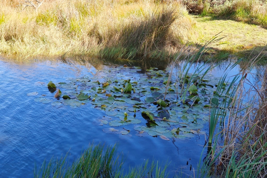 0 Bedroom Property for Sale in Dullstroom Mpumalanga