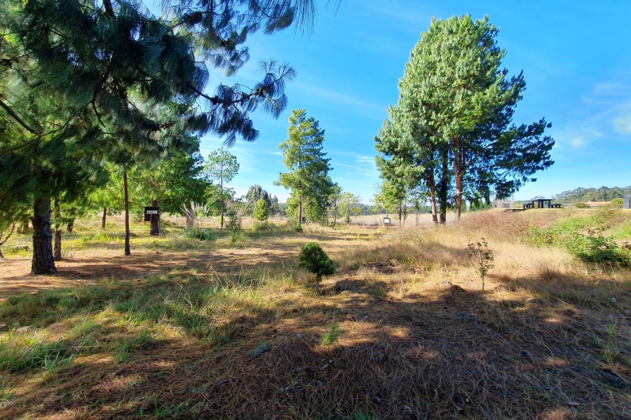 0 Bedroom Property for Sale in Dullstroom Mpumalanga