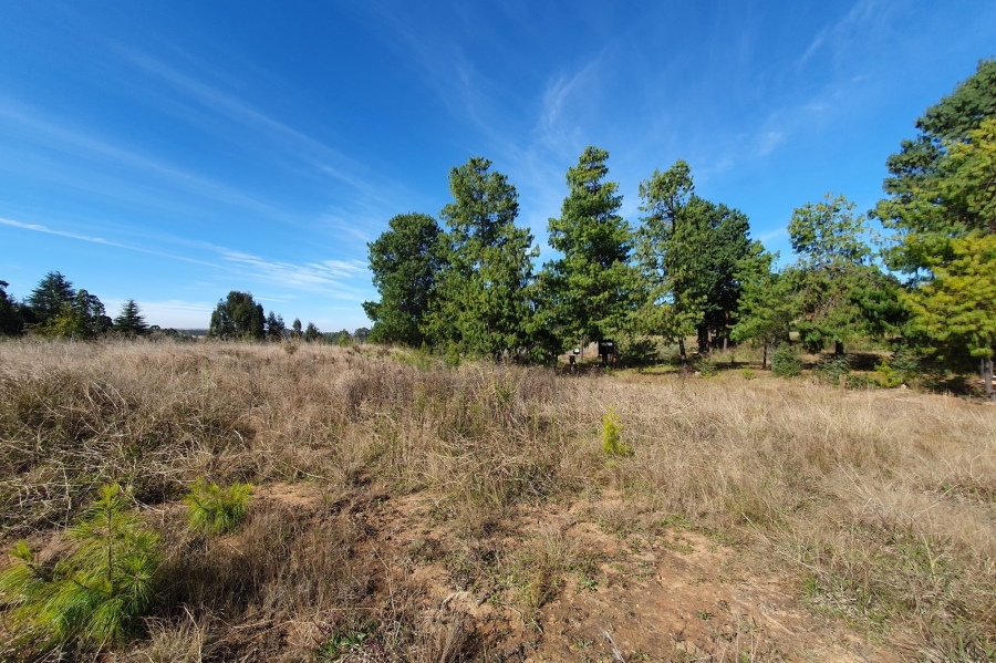0 Bedroom Property for Sale in Dullstroom Mpumalanga