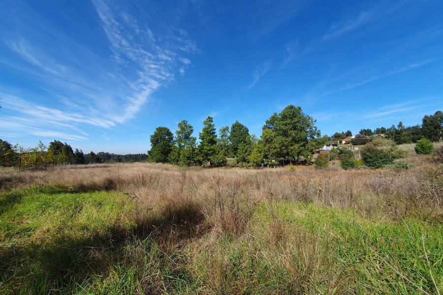 0 Bedroom Property for Sale in Dullstroom Mpumalanga