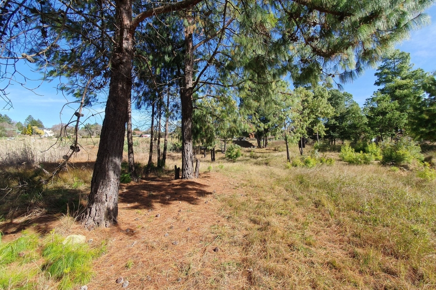 0 Bedroom Property for Sale in Dullstroom Mpumalanga