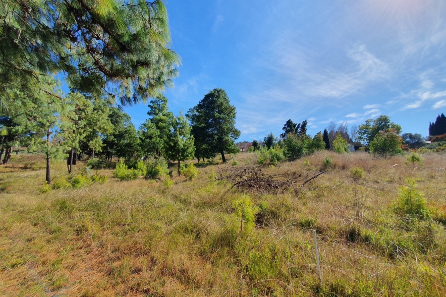 0 Bedroom Property for Sale in Dullstroom Mpumalanga