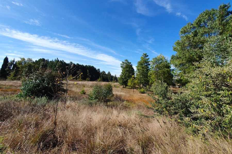 0 Bedroom Property for Sale in Dullstroom Mpumalanga