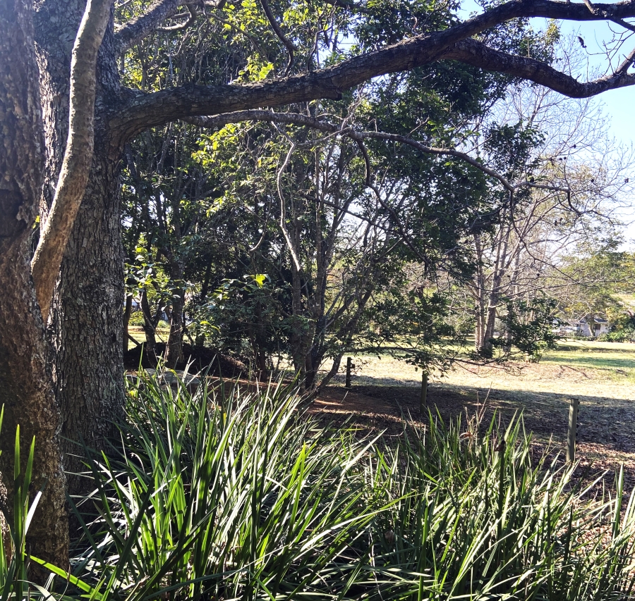4 Bedroom Property for Sale in The Edge Mpumalanga