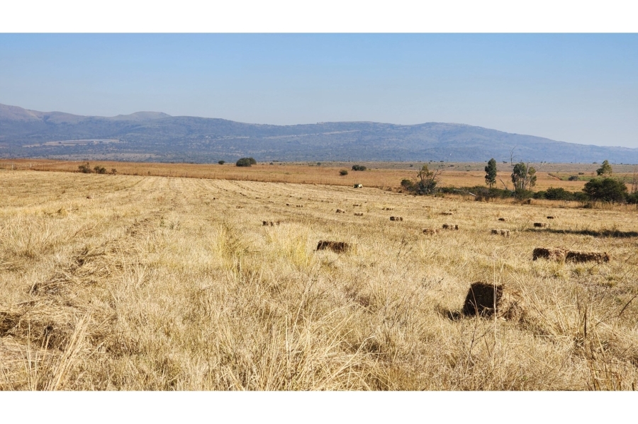 5 Bedroom Property for Sale in Mashishing Mpumalanga