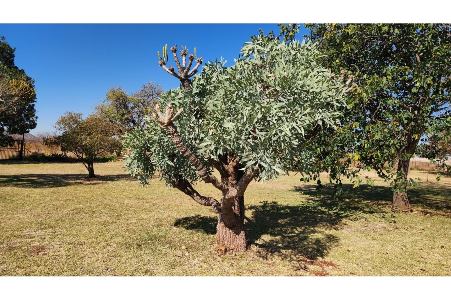 5 Bedroom Property for Sale in Mashishing Mpumalanga