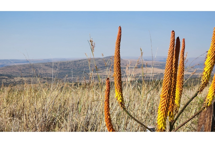 5 Bedroom Property for Sale in Mashishing Mpumalanga