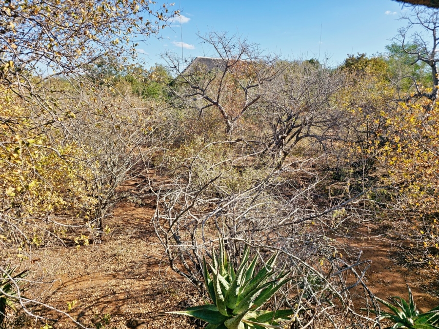 3 Bedroom Property for Sale in Marloth Park Mpumalanga
