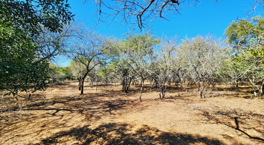 0 Bedroom Property for Sale in Marloth Park Mpumalanga