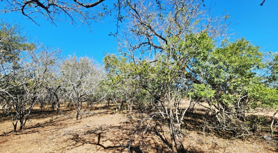 0 Bedroom Property for Sale in Marloth Park Mpumalanga