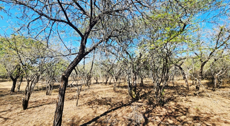 0 Bedroom Property for Sale in Marloth Park Mpumalanga