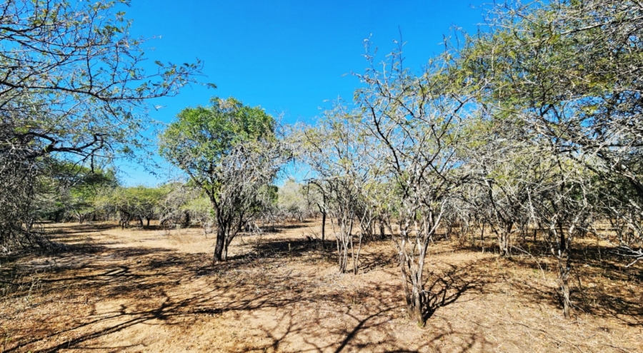 0 Bedroom Property for Sale in Marloth Park Mpumalanga