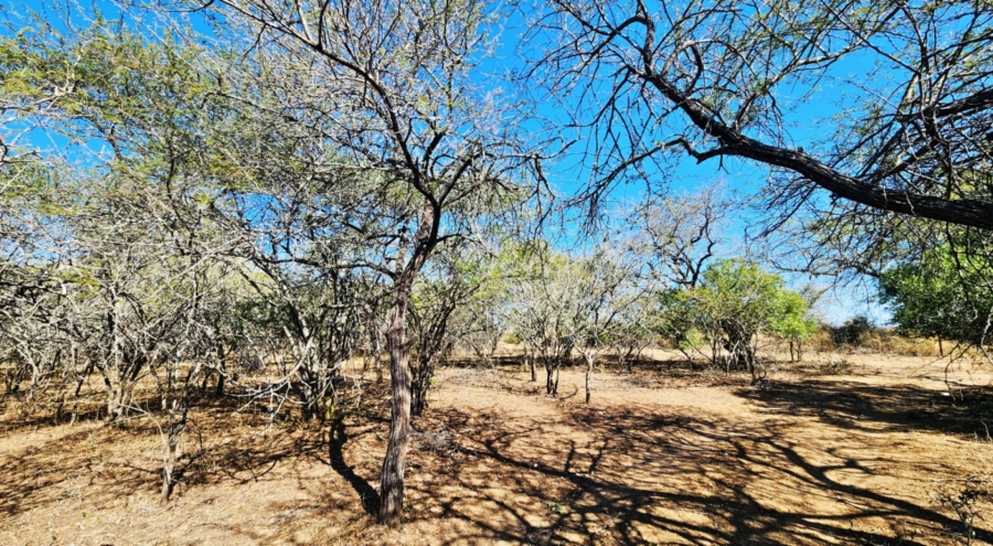 0 Bedroom Property for Sale in Marloth Park Mpumalanga