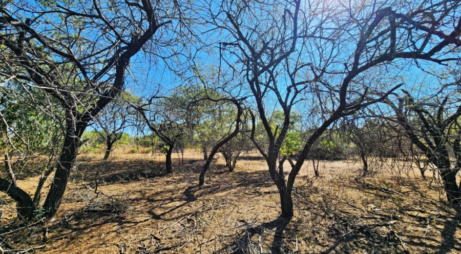 0 Bedroom Property for Sale in Marloth Park Mpumalanga