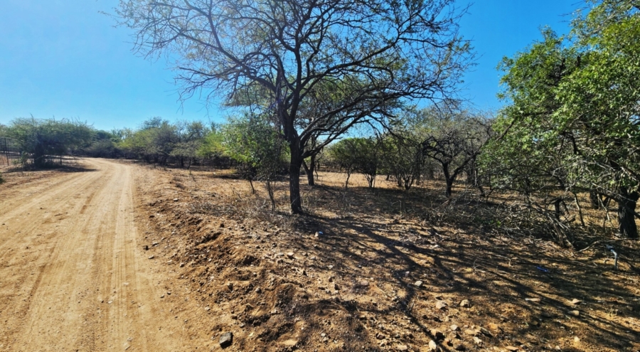 0 Bedroom Property for Sale in Marloth Park Mpumalanga