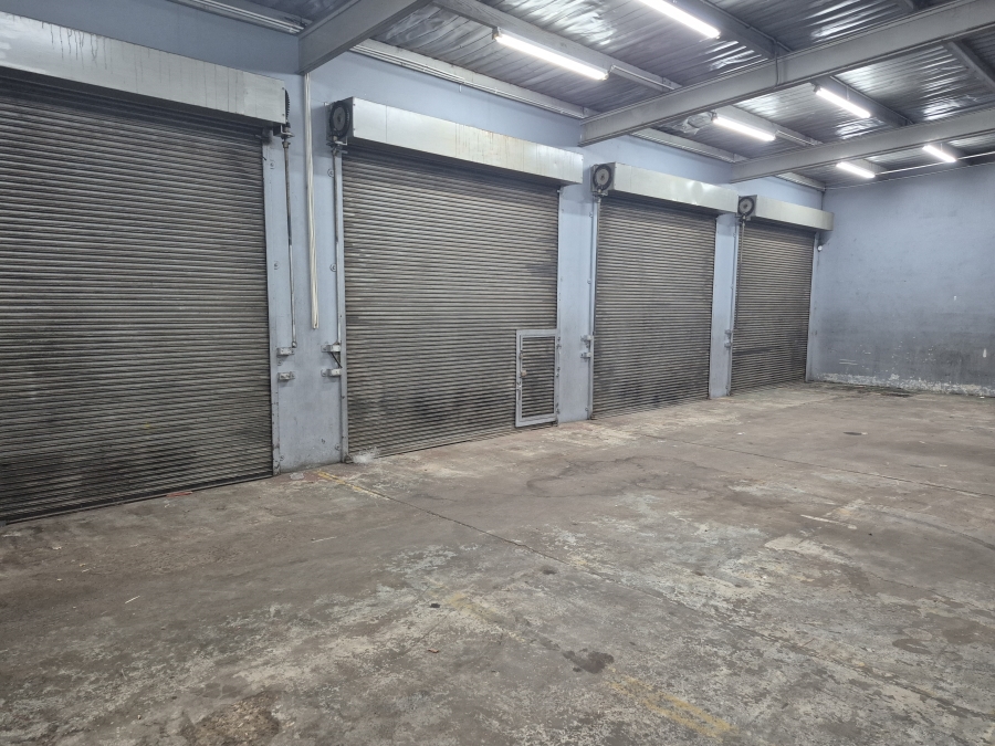 To Let commercial Property for Rent in Witbank Mpumalanga