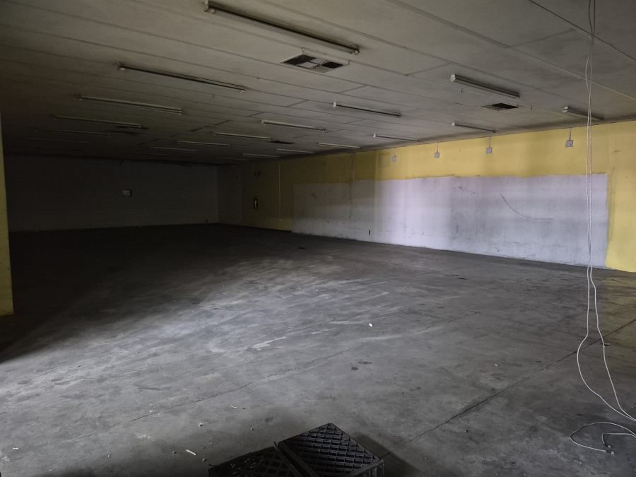 To Let commercial Property for Rent in Witbank Mpumalanga