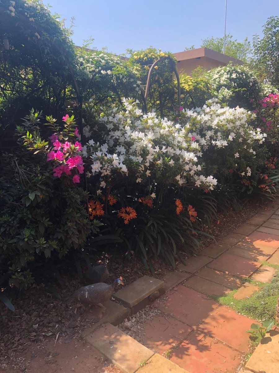 5 Bedroom Property for Sale in Delmas Mpumalanga