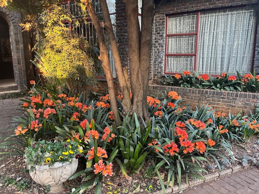 5 Bedroom Property for Sale in Delmas Mpumalanga