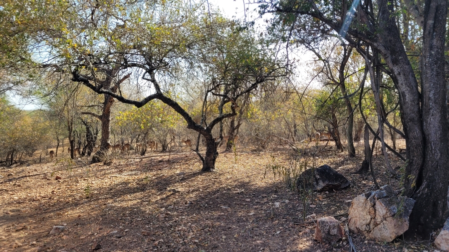 4 Bedroom Property for Sale in Marloth Park Mpumalanga
