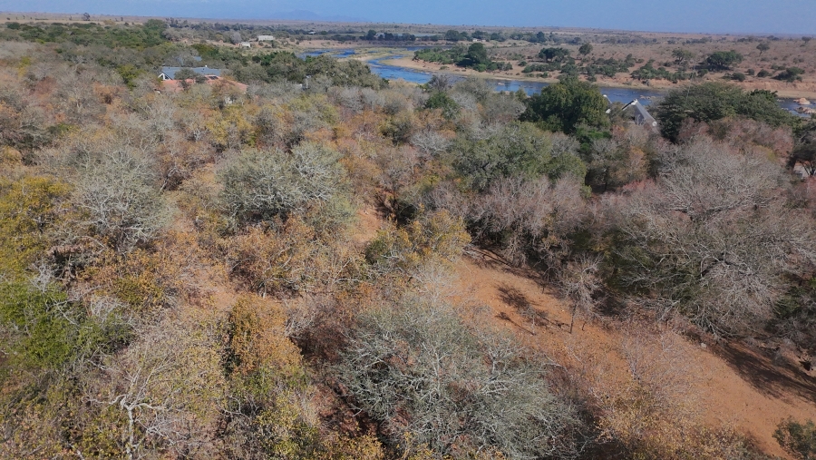 4 Bedroom Property for Sale in Marloth Park Mpumalanga