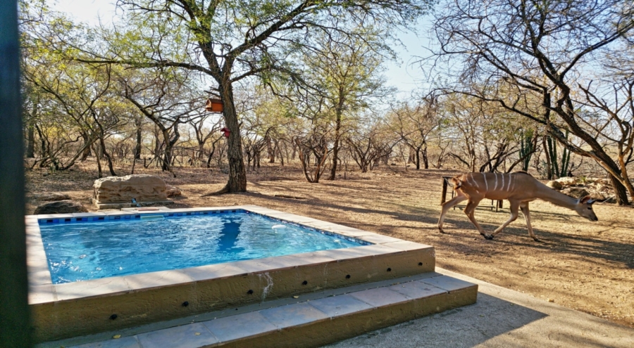 3 Bedroom Property for Sale in Marloth Park Mpumalanga