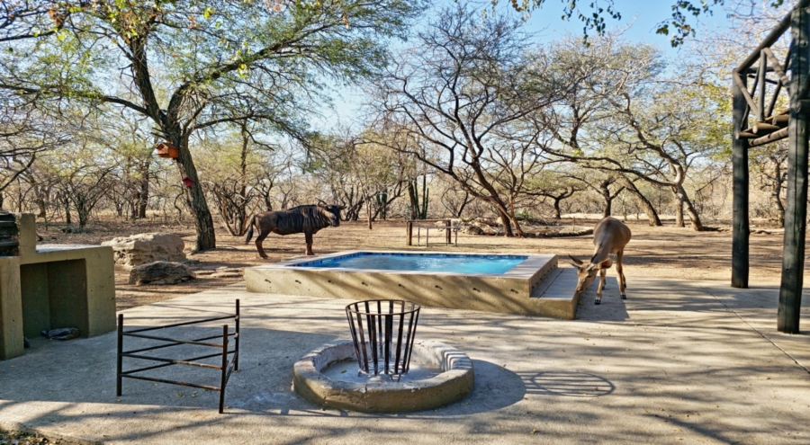 3 Bedroom Property for Sale in Marloth Park Mpumalanga