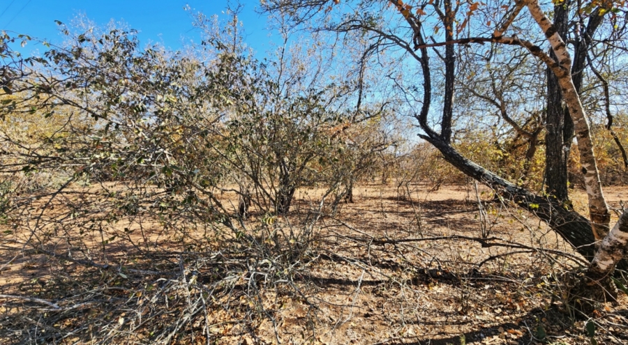 0 Bedroom Property for Sale in Marloth Park Mpumalanga