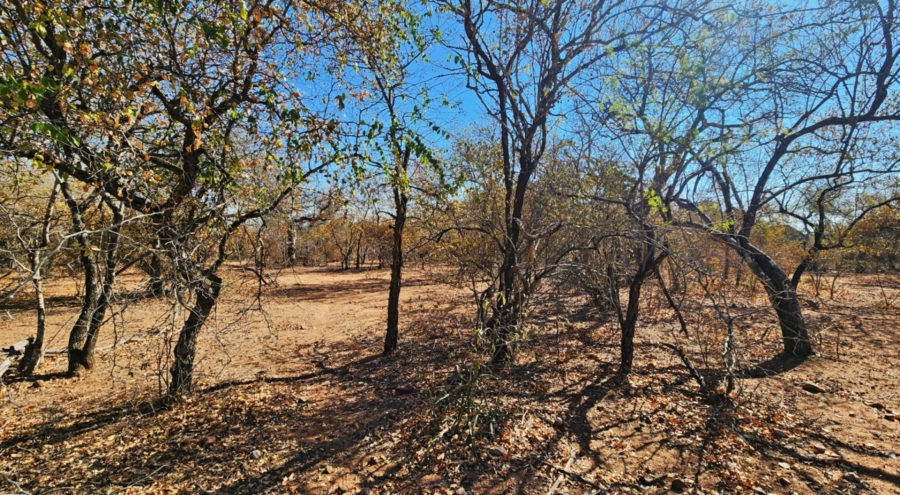 0 Bedroom Property for Sale in Marloth Park Mpumalanga