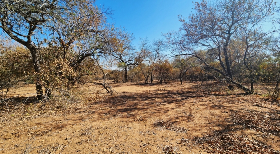 0 Bedroom Property for Sale in Marloth Park Mpumalanga