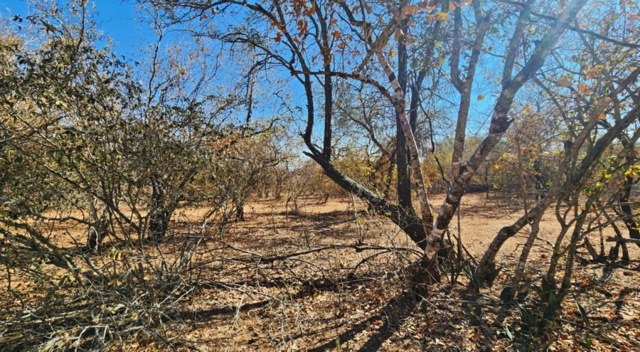 0 Bedroom Property for Sale in Marloth Park Mpumalanga