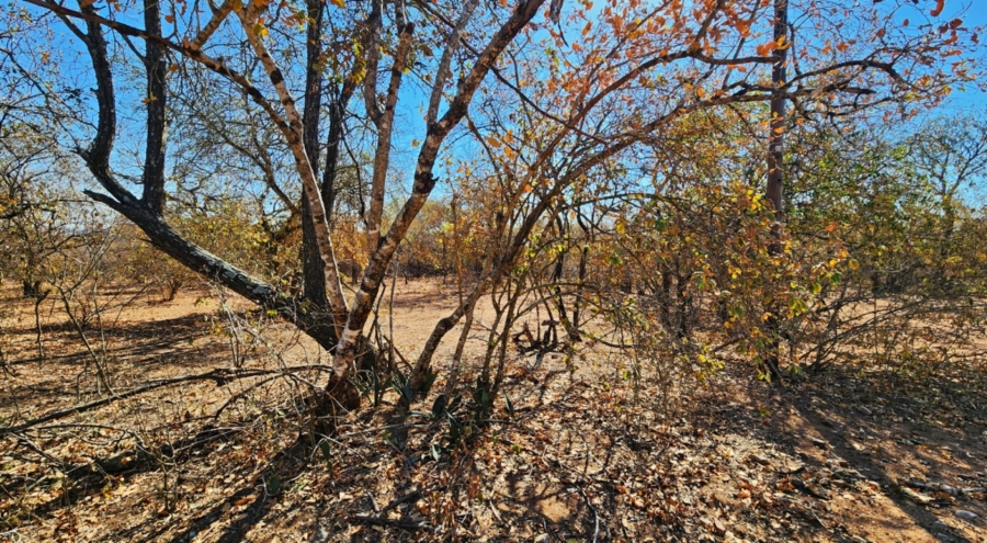 0 Bedroom Property for Sale in Marloth Park Mpumalanga