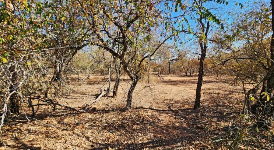 0 Bedroom Property for Sale in Marloth Park Mpumalanga