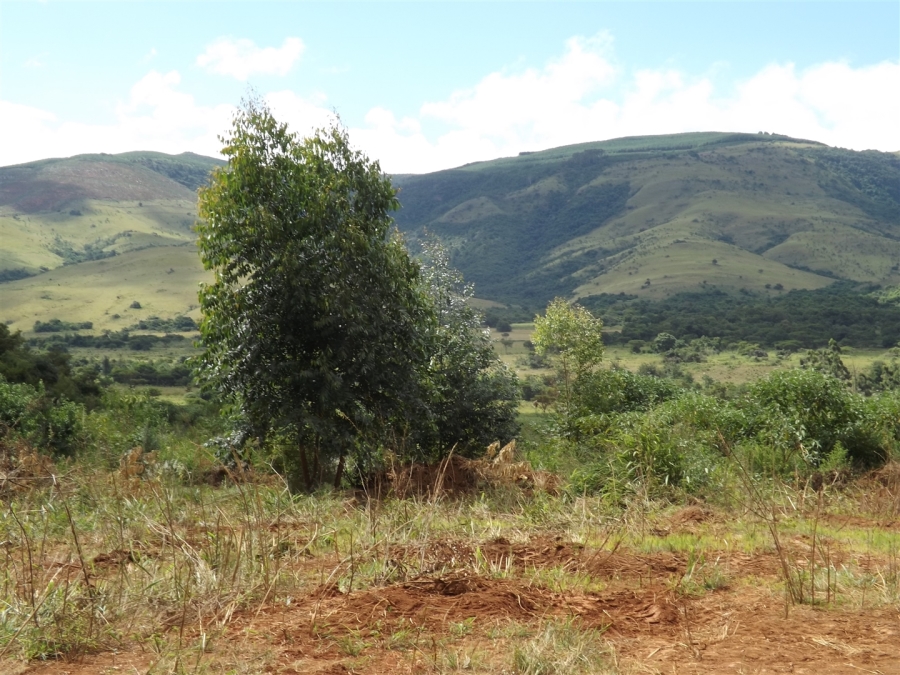Commercial Property for Sale in Nelspruit Rural Mpumalanga