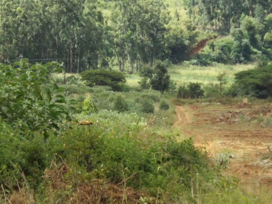 Commercial Property for Sale in Nelspruit Rural Mpumalanga