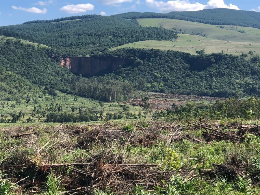 Commercial Property for Sale in Nelspruit Rural Mpumalanga